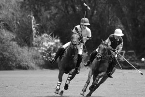 Why Most HNIs Overcomplicate Their Portfolios